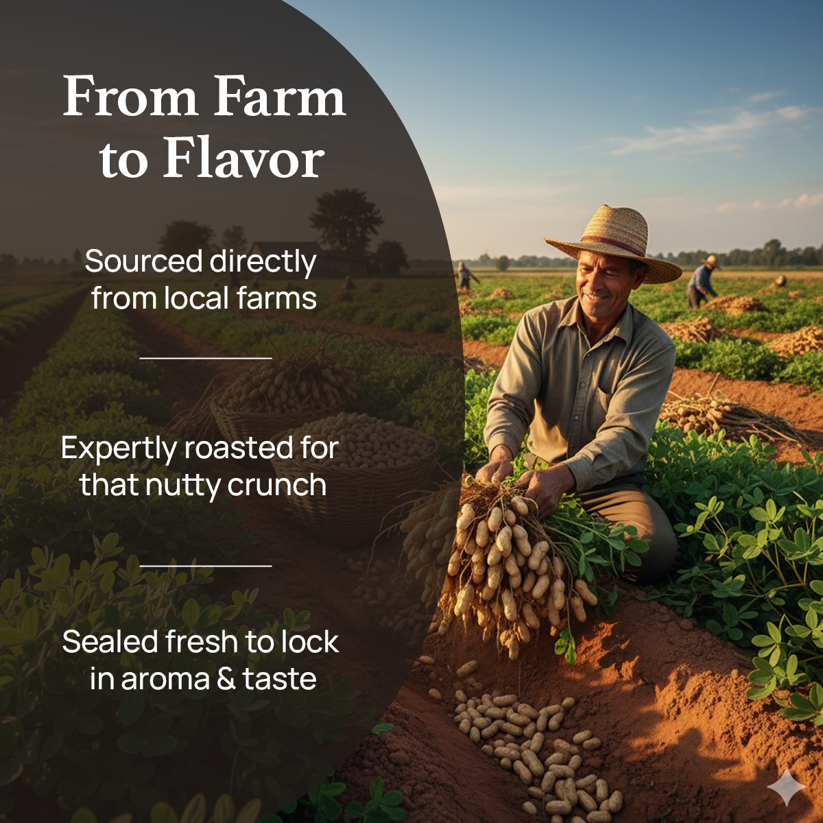 Roasted Peanut Whole